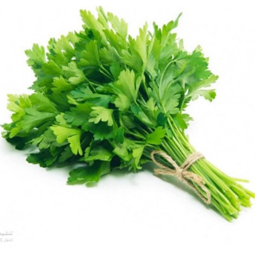 بقدونس عضوي ربطة مزرعة السلوى