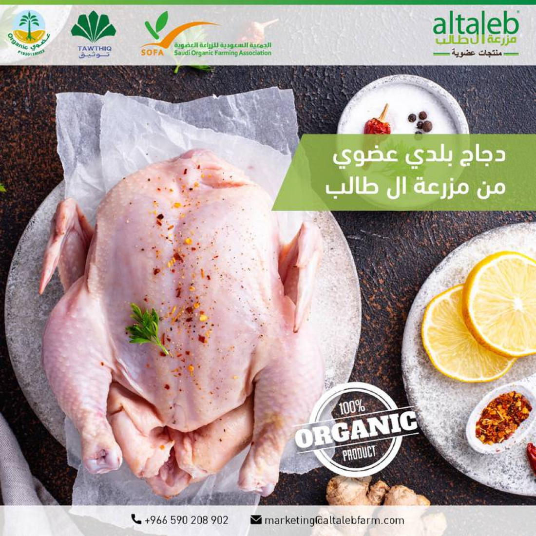 دجاج عضوي.. الاختيار الصحي الذي يبدأ من أورجانيك كينج