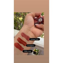 Cream blush toffee rose 