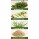 Insect killer (incense sticks) Insect killer (incense sticks)