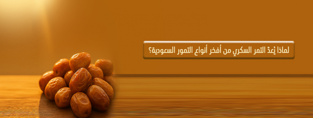 التمر السكري السعودي | سرّ فخامته ولماذا يُعدّ من أفخر أنواع التمور