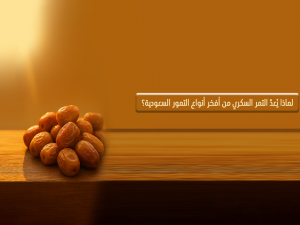 التمر السكري السعودي | سرّ فخامته ولماذا يُعدّ من أفخر أنواع التمور