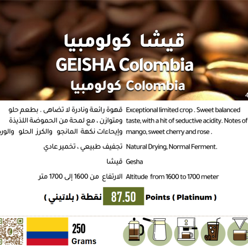 GEISHA Colombia - Colombia