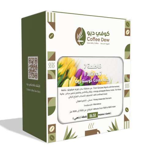 فاطمة 7 - كوستاريكا فاطمة 7 - كوستاريكا