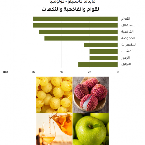 مايتاما كاستيلو - كولومبيا مايتاما كاستيلو - كولومبيا