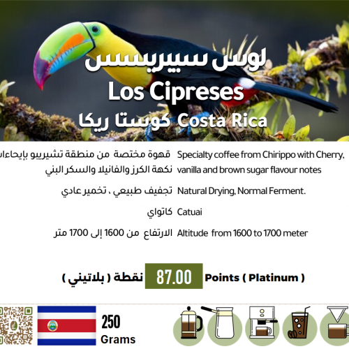 لوس سيبريسس - كوستاريكا لوس سيبريسس - كوستاريكا