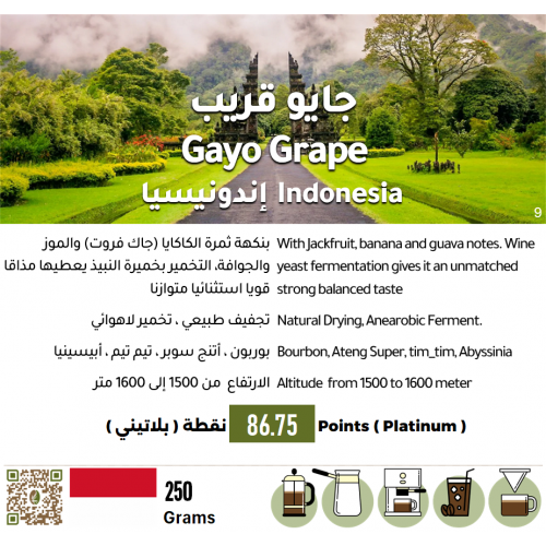 جايو قريب - إندونيسيا جايو قريب - إندونيسيا