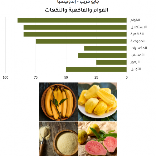 جايو قريب - إندونيسيا جايو قريب - إندونيسيا