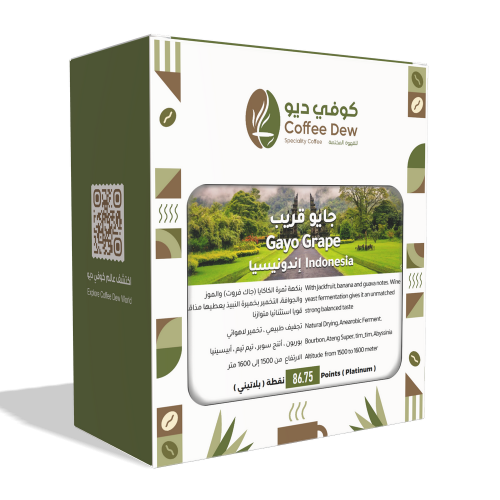 جايو قريب - إندونيسيا جايو قريب - إندونيسيا