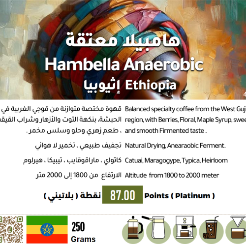 Hambela Anaerobic - Ethiopia