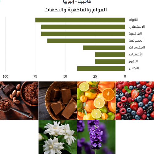 هامبيلا - إثيوبيا هامبيلا - إثيوبيا