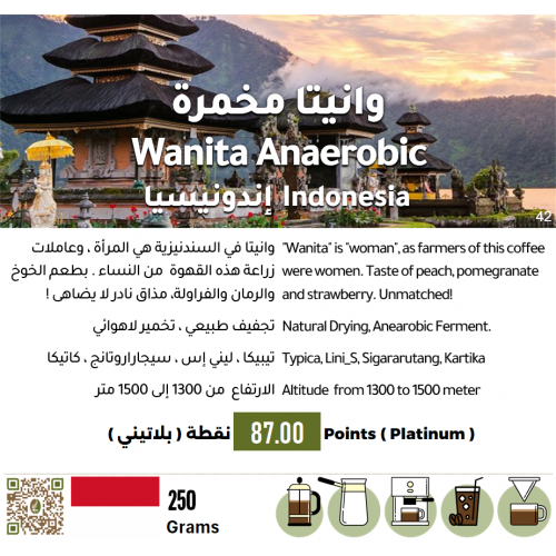 وانيتا مخمرة - إندونيسيا وانيتا مخمرة - إندونيسيا