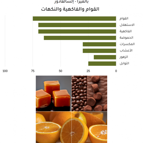بالميرا - إلسالفادور بالميرا - إلسالفادور