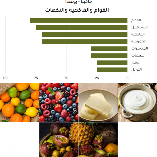 ماكيتا - يوغندا ماكيتا - يوغندا