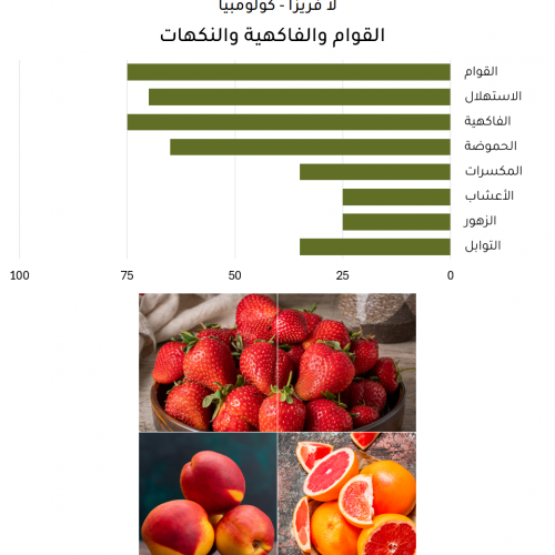 لا فريزا - كولومبيا لا فريزا - كولومبيا