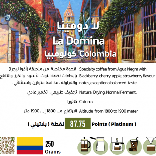 مهرجان كولومبيا مهرجان كولومبيا