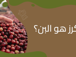 Is Cherry Coffee? Discover the Truth with Coffee Dew