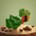زامبيا:1