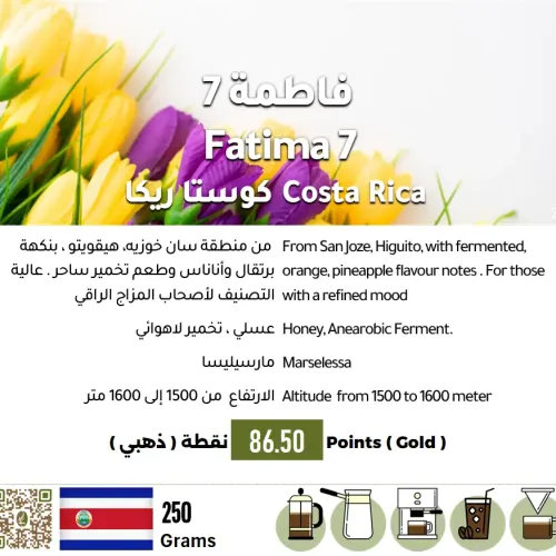 Fatima 7 - Costa Rica