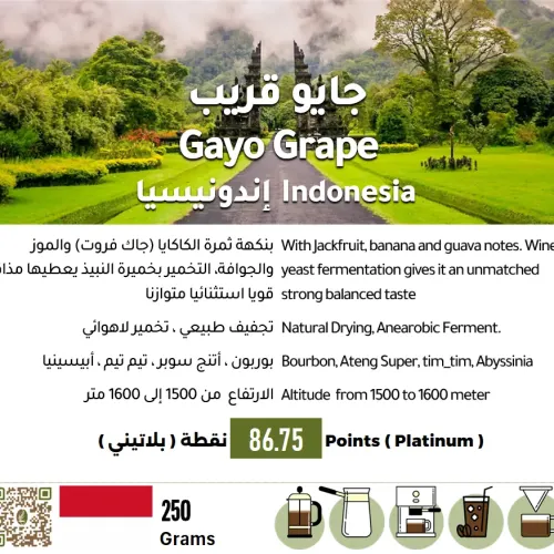 Gayo Grape - Indonesia