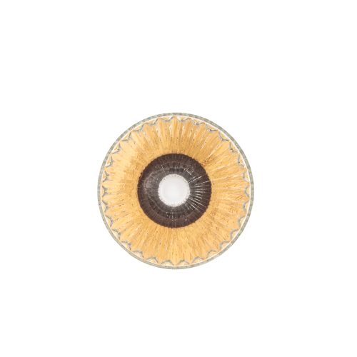 V60 Glass Coffee Dripper, Large Clear