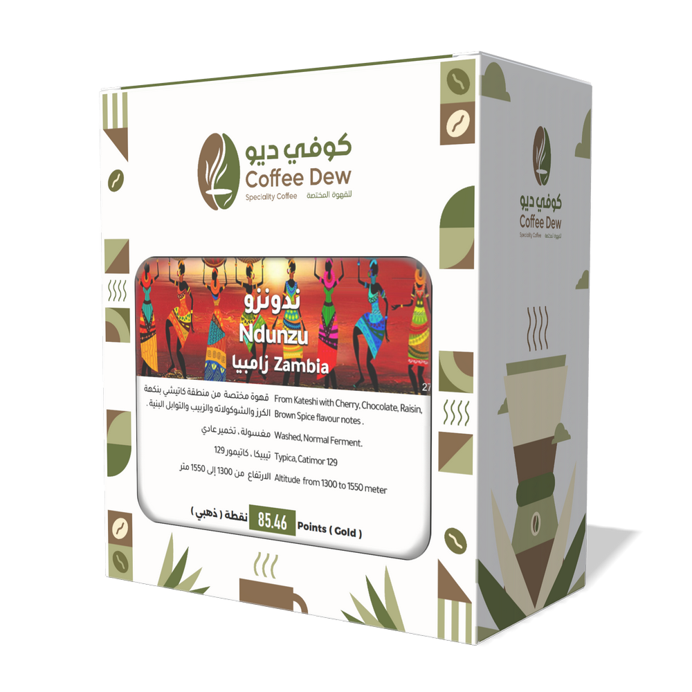 ندونزو - زامبيا