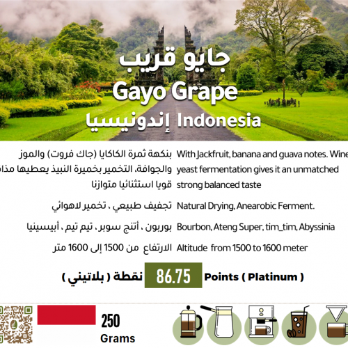 جايو قريب - إندونيسيا جايو قريب - إندونيسيا