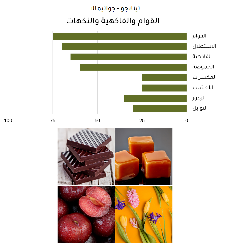 تينانجو - جواتيمالا تينانجو - جواتيمالا