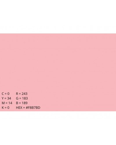 Emily Background Paper Rolls 2.72x10m #17 Carnation Pink