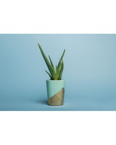 Emily Background Paper Rolls 2.72x10m #02 Sky Blue