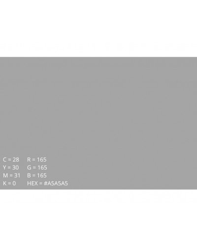 Emily Background Paper Rolls 2.72x10m #58 Slate Grey