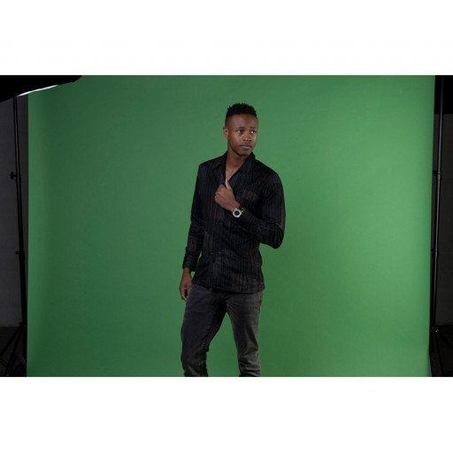 Emily Background Paper Rolls 2.72x10m #54 Stinger Chromakey