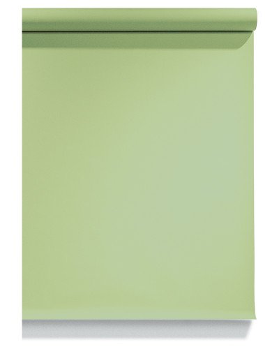 Emily Background Paper Rolls 2.72x10m #13 Tropical Green