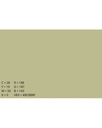 Emily Background Paper Rolls 2.72x10m #13 Tropical Green