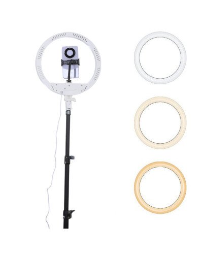 NiceFoto LR-313CII LED Ring Light with Stand
