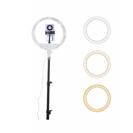 NiceFoto LR-313CII LED Ring Light with Stand