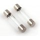 Fast Blow Fuse 5Amp 250V Glass Fuses (4Pc) Fast Blow Fuse 5Amp 250V Glass Fuses (4Pc)