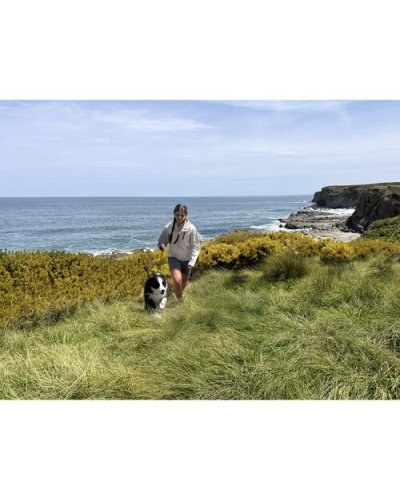 DJI Osmo Mobile 7 Smartphone Gimbal