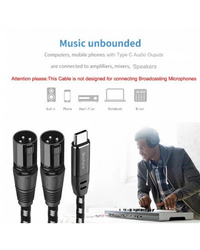 Type C to Dual XLR Male OFC Audio Cable For Speakers Amplifier Mixer 1.5 Meter