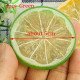 Green Mini Photography Props Simulation Lemon Slices for Studio Photo Desktop Shooting Decoration Accessories Green Mini Photography Props Simulation Lemon Slices for Studio Photo Desktop Shooting Decoration Accessories