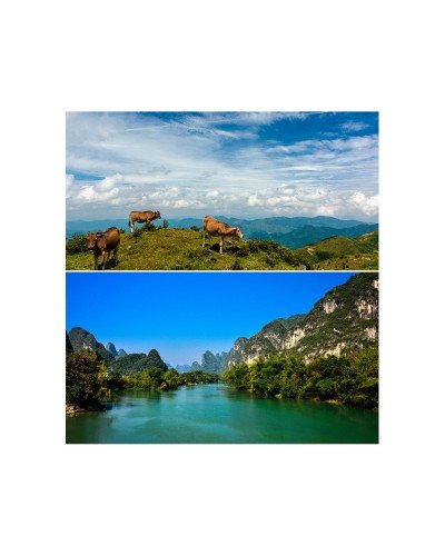 QZSD NRC-CPL 58mm Professional Optical Filter 