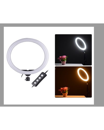 Ring Fill Light CXB-260 26CM with Tripod Stand Ring Fill Light CXB-260 26CM with Tripod Stand