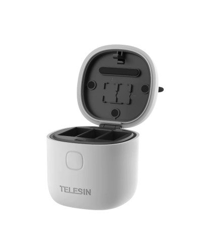 TELESIN Allin Charger/Storage Box with Two Batteries for GoPro HERO 12/11/10/9