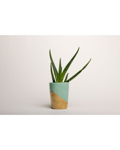 Background Paper Rolls 2.72x11m Snow White