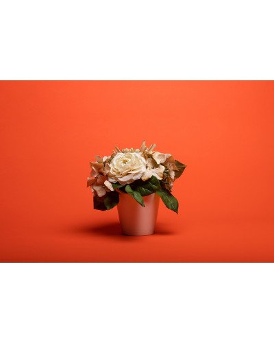 Background Paper Rolls 1.36x11mm Orange