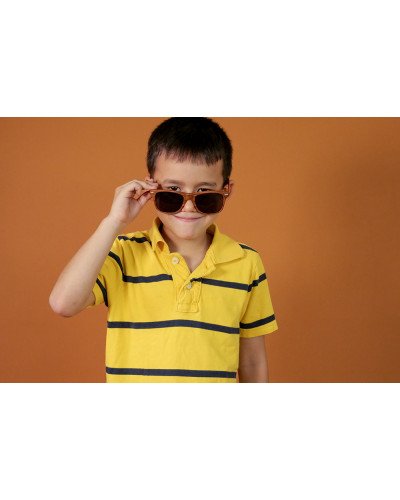 Background Paper Rolls 2.72x11m Spice