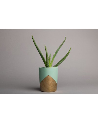 Background Paper Rolls 2.72 x 11m Slate Gray