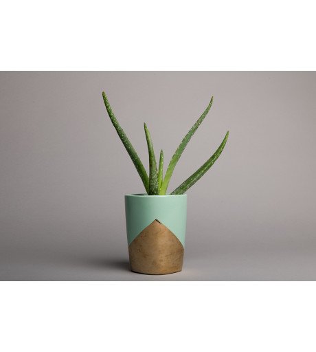 Background Paper Rolls 1.36 x 11m Slate Gray