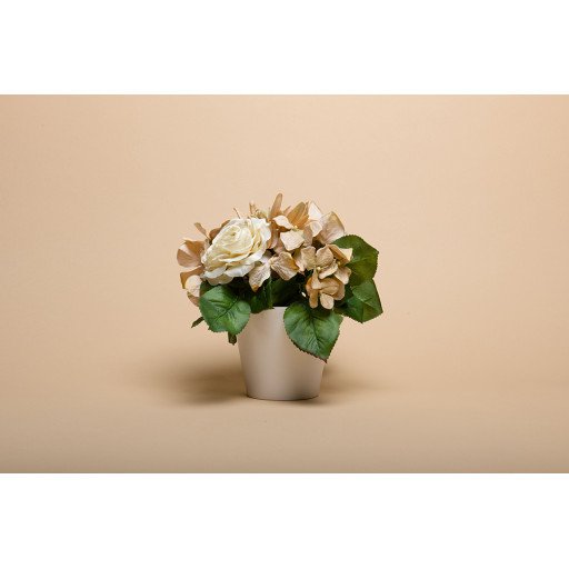 Background Paper Rolls 2.72 x 11m Wheat