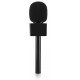 Microphone Interview GO Handheld Adapter with Foam and Plastic Flag